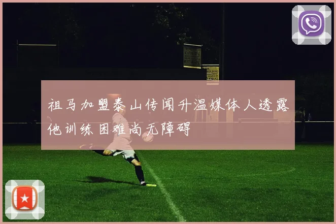 祖马加盟泰山传闻升温媒体人透露他训练困难尚无障碍
